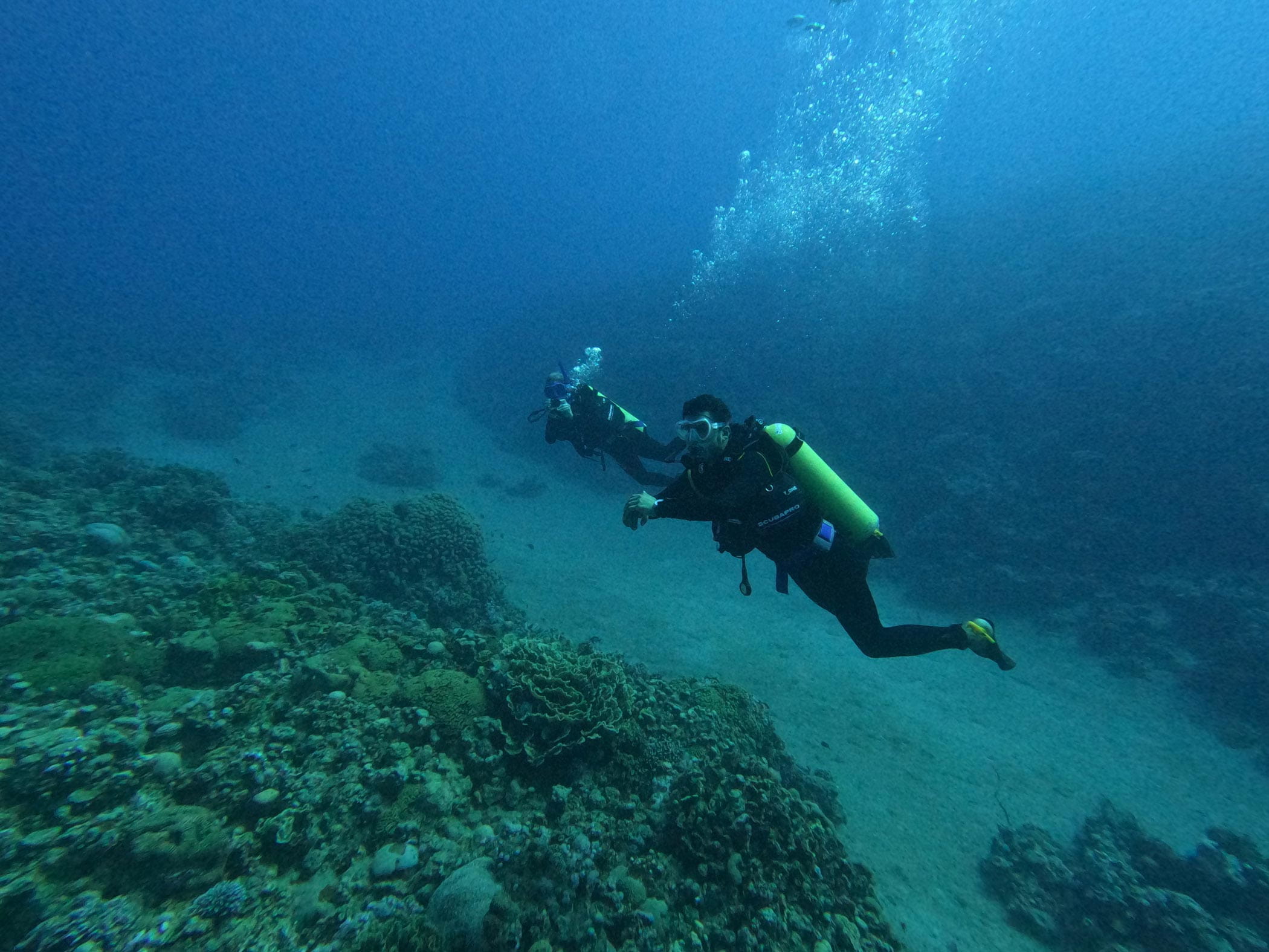 AD Ports Group Conducts Workshop on Marine Ecosystems across Red Sea and Arabian Gulf 