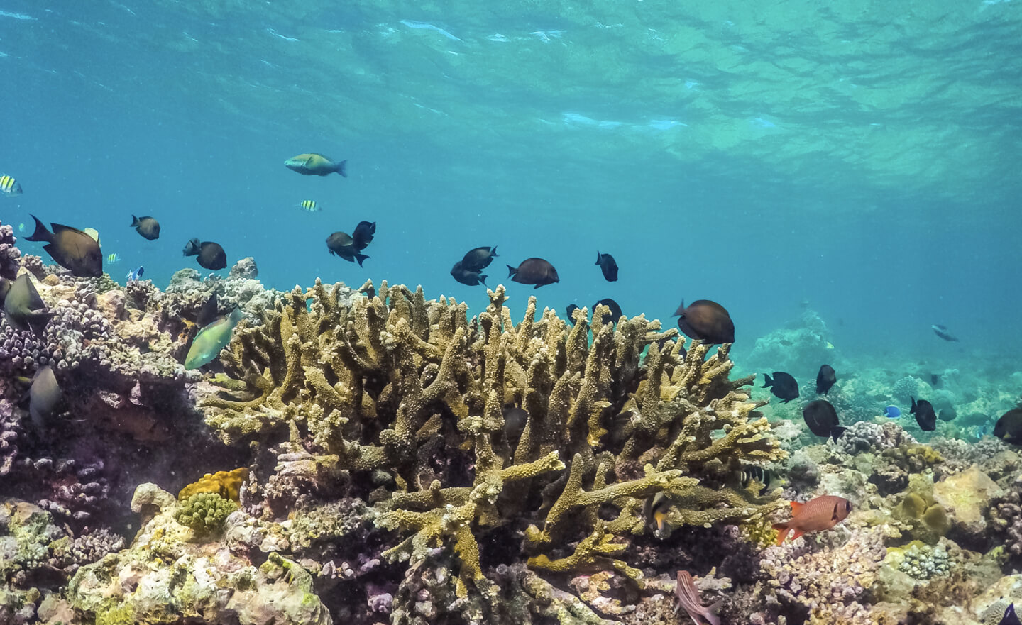 مجموعة موانئ أبوظبي تلتزم بتطبيق معايير الاستدامة في ميناء سفاجا المصري